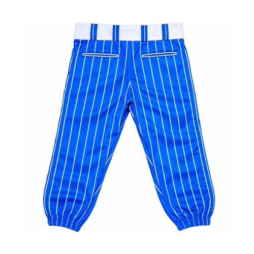 Custom Pinstripe Baseball Pants in blue with white stripes SI-SW-228 — Back